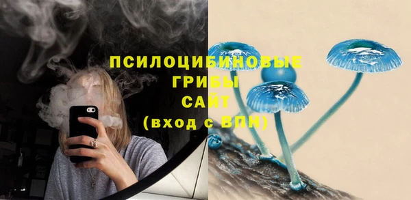 Альфа ПВП Струнино