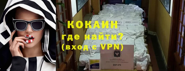ПСИЛОЦИБИНОВЫЕ ГРИБЫ Тавда