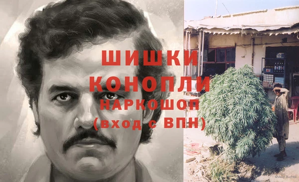ПСИЛОЦИБИНОВЫЕ ГРИБЫ Тавда