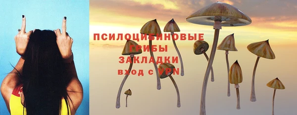 крисы Строитель