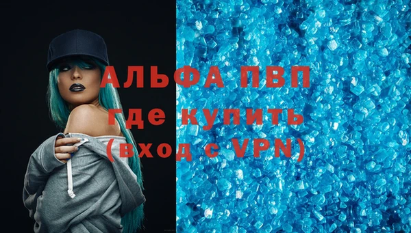 ПСИЛОЦИБИНОВЫЕ ГРИБЫ Тавда