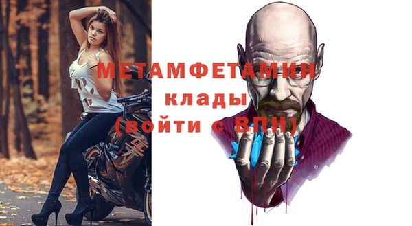 ПСИЛОЦИБИНОВЫЕ ГРИБЫ Тавда