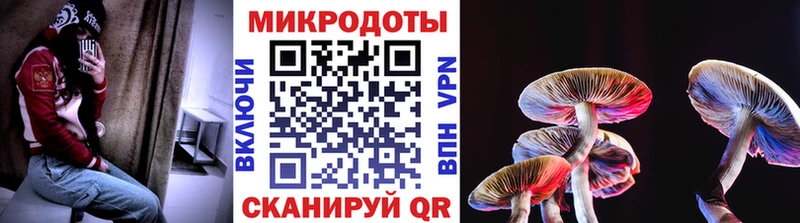 Псилоцибиновые грибы прущие грибы где найти наркотики Новокузнецк